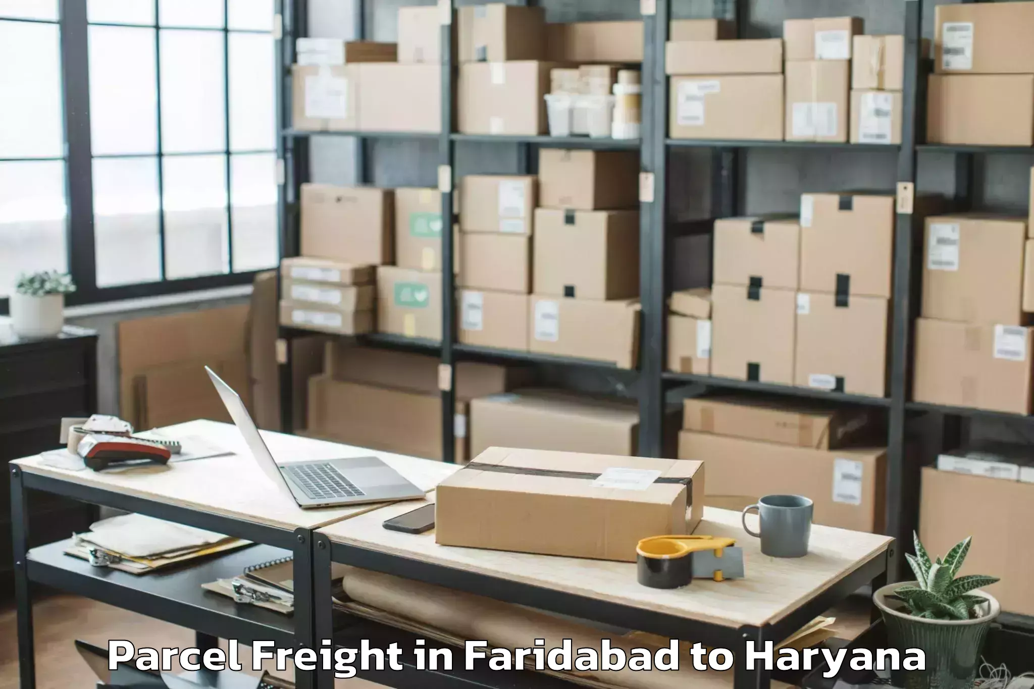 Easy Faridabad to Kosli Parcel Freight Booking